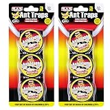 APXEL Ameisenköder,6PCS Ungiftige Ameisenfalle Klebefalle zur Überwachung...