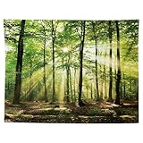 MIGIFTDY Waldbaum Wandteppich Extra Großer Nebliger Wald Wandbehang für...