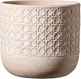Soendgen Vienna, Blumentopf aus Keramik, Farbe: naturbeige, 15 cm...