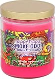 Smoke Odor Exterminator Duftkerze im Glas, 368 g, Trippy Hippie, 2 Stück
