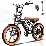 COLORWAY Elektrofahrräder –20 Zoll Offroad EBike, 250W Motor und 48V...