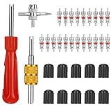 tonyg-p Reifenventilentferner Ventil Reparatur mit Doppel und Einzelkopf...