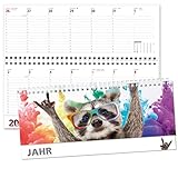 Bürokalender quer Wochenkalender 2024 Tischkalender quer Waschbär...