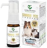 GLOBAL NATUREON® Cannabi Pets Öl 500 mg (30 ml) auf Lachsölbasis,...