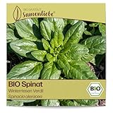 Samenliebe BIO Spinat Samen Winterriesen Verdil aromatischer Blattspinat...