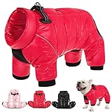 AOFITEE wasserdichte Hundemantel, Winter Warme Hundejacke für Kleine...