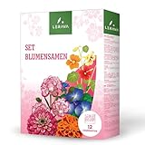 LERAVA® Blumensamen – Blumensamen mehrjährig winterhart - Saatgut für...