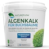 TESTSIEGER Bio Algenkalk für Buchsbäume – Widerstandskraft und...