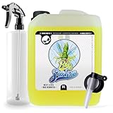 Nuke Guys Bug Swipe Auto Insektenentferner 5 Liter Kanister mit Dispenser,...