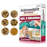 Schimmeltest für Baby- und Kinderzimmer – Schimmel Test zur Bestimmung...
