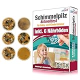 Schimmeltest für Baby- und Kinderzimmer – Schimmel Test zur Bestimmung...