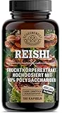 Reishi 1950mg -WICHTIG: 20:1 Extrakt (=39000mg reiner Fruchtkörper pro...