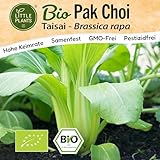 Little Plants BIO Pak Choi Samen 100 Pak Choi Saatgut Taisai Gemüsesamen...