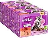 Whiskas Junior Katzennassfutter Klassische Auswahl in Sauce, 48...