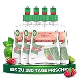 Air Wick Active Fresh – Aeorosolfreier, automatischer Lufterfrischer –...