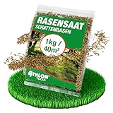 ATHLON TOOLS Schattenrasen-Samen 1kg / 40m² Frühjahr/Sommer - Rasensamen...
