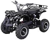 Actionbikes Motors Kinder Elektro Miniquad ATV Torino | 𝟭𝟬𝟬𝟬...