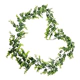 LOLIPPYY Künstliche Eukalyptus Hängerebe 180cm mit Grünen Blättern...