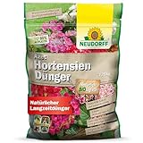 Neudorff Azet HortensienDünger 1,75 kg für farbintensive, prächtige...