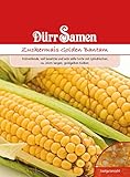 Zuckermais Samen Golden Bantam Zuckermaissamen Maissamen Mais ca 65 Korn...