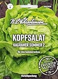 Chrestensen Kopfsalat Kagraner Sommer 2 Samen - 10g - Samenfest Schossfest...