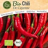 Little Plants BIO Chili Samen 15 Chilisamen De Cayenne Gemüsesamen...