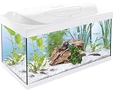 Tetra Starter Line 54 L Aquarium Weiß, Komplett-Set - inkl. Tag- &...
