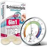 Schimmeltest + Thermohygrometer: Zum Check der Schimmelbelastung für bis...