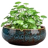 Tadoiooy Lotus Bowl Pflanzer, 6,5 x 2,5 Zoll runde Keramikpflanztöpfe,...