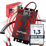 PATTLER® Marderschreck Auto Anschluss an 12V Autobatterie | Effektive...