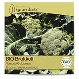 Samenliebe BIO Brokkoli Samen alte Sorte Ramoso Calabrese italienischer...
