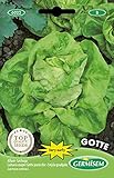 Germisem Kopfsalat GOTTE, mehrfarbig, EC6022