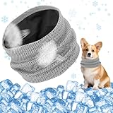 Kühlhalsband für Hunde, Hunde halstücher Kühlend, Hundehalsband...