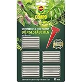 COMPO Grünpflanzen- und Palmen Düngestäbchen mit Guano, Dünger mit 3...