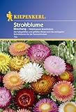 Helichrysum bracteatum Strohblume Mischung