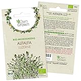 Microgreens Samen Alfalfa: 900 Bio Alfalfa Samen zur leichten Keimsprossen...