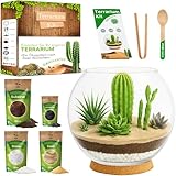PYEF CRAFTS Terrarium-Set für Sukkulenten & Kakteen, DIY –...