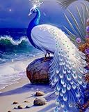 Brennora 5D Diamond Painting Set Pfau am Meer Erwachsene DIY-Mosaik Arts...