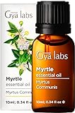 Gya Labs Ätherisches Myrtenöl für gepflegte Haut (10 ml) – Myrtenöl...