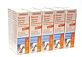 NASENSPRAY ratiopharm, für Sinusitis Erwachsene 10 Packungen - Sparset...