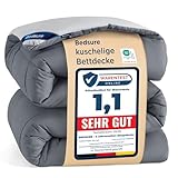 BEDSURE Bettdecke 135x200 Ganzjahresdecke Steppdecke - Bettdecke Ohne Bezug...