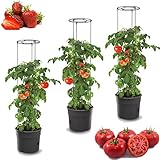 botle 3X Tomatenpflanze Blumentopf für Tomaten Set 3 STK Pflanzkübel 12...