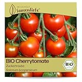 Samenliebe BIO Cherrytomaten Samen Zuckertraube besonders süße...