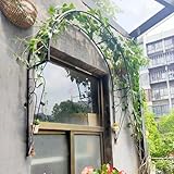 Gartenbogen Rankgitter für Kletterpflanzen, Schmiedeeisen, halbrund,...