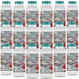 GiDeli Scheibenfrostschutz 18x 1L – Winter Scheibenwischwasser -22°C...