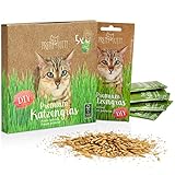 PRETTY KITTY Premium Katzengras Saatmischung: 5 Beutel je 25g Katzengras...