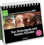 Postkartenkalender 2025: Von Pechvögeln und bunten Hunden: Ein tierisch...