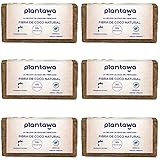 PLANTAWA Kokoserde Anzuchterde 60L | 100% Natürlich | Bietet Optimale...