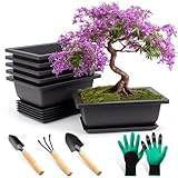 FSWWSF 6 Stück Bonsai Schale mit Untersetzer, Bonsai Topf, Kunststoff Tief...