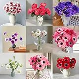 herbstanemone wildblumensamen mehrjährig winterhart, sommerblumen...